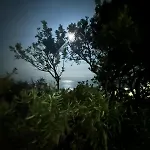 Casa - Pinus Village Casa Margherita A Pula-chia - A 350 M A Piedi Dalla Piu Vicina, A 5 Minuti In Auto Dalle Spiagge Di Chia Ed A 15 Minuti In Auto Dalla Splendida Di Tuerredda Σπίτι διακοπών *